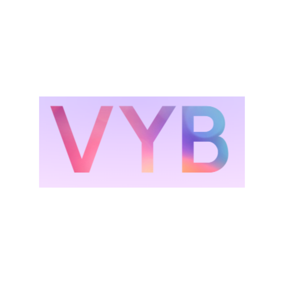 Vyb website deleted, processor lost & co-owner meltdown