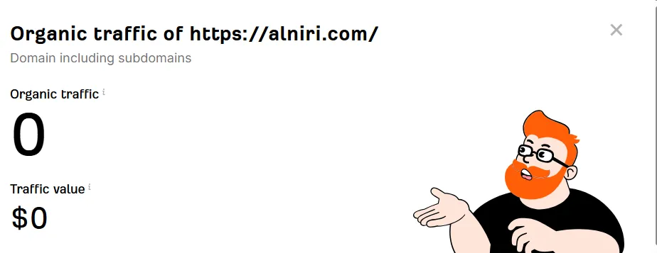 Alniri Website Organic Traffic Zero