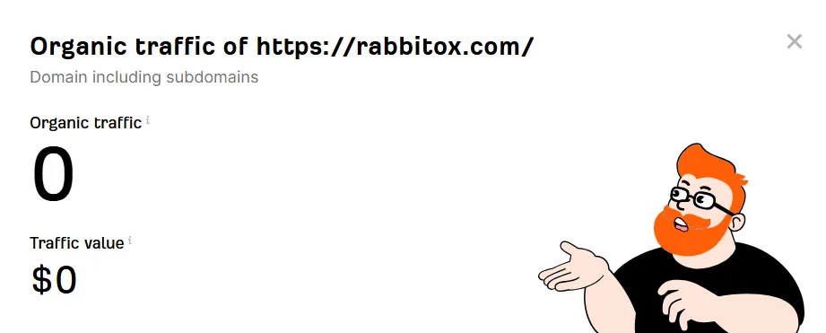 Rabbitox Organic Traffic Report – Zero Visits and Value