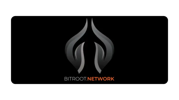 Bitroot Network logo on black background, featuring sleek gray design