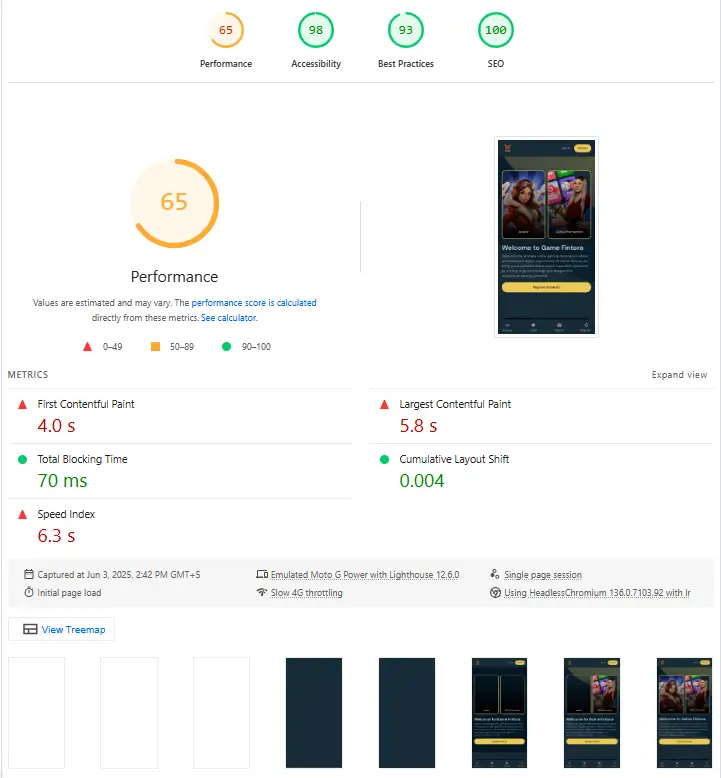 Fintora Performance Report with Score 65 and Metrics