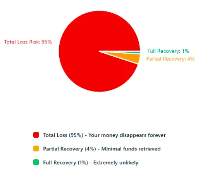 A pie chart showing the total loss risk of 95%, partial recovery of 4%, and full recovery of 1%, highlighting the risks of the investment.