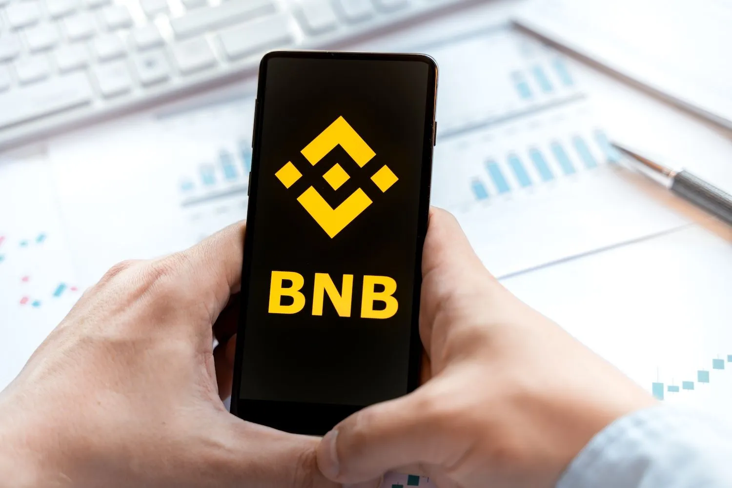BNB pulls back from record high after $1B treasury news