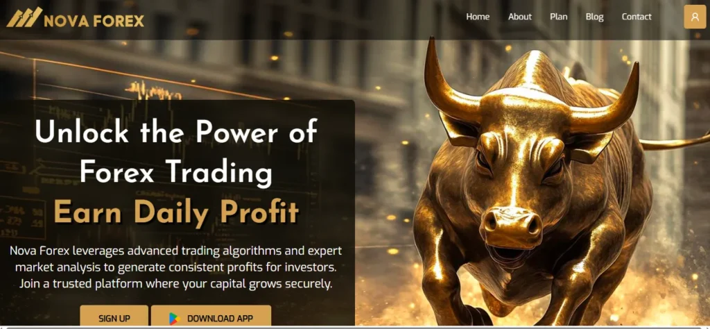 Nova Forex homepage showcasing advanced trading algorithms, forex trading opportunities, and the promise of daily profits with a golden bull image.