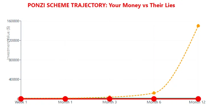 Graph showing exaggerated Ponzi scheme investment returns versus actual value over 12 months