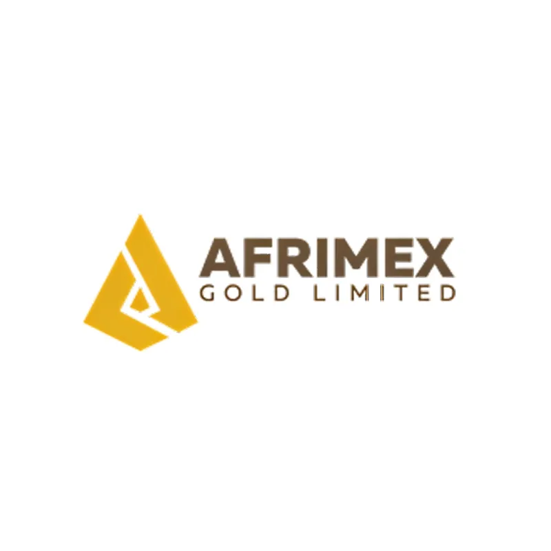 Afrimex Gold Limited Logo, a modern gold trading company logo