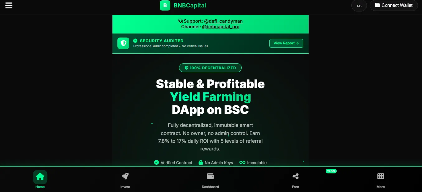 BNB Capital stable and profitable yield farming DApp on Binance Smart Chain with daily ROI claims