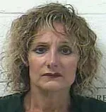 Faraday Hosseinipour case tied to Ponzi conviction and appeal attempt