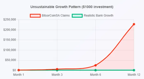 Graph showing unsustainable growth pattern of BitsoCoinSA investment versus realistic bank growth over 12 months