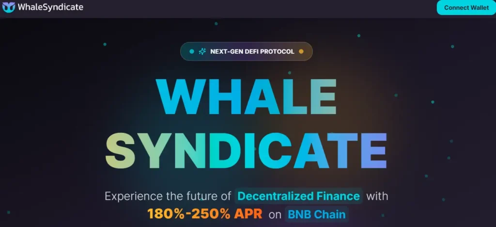 Whale Syndicate platform offering 180%-250% APR on BNB Chain with DeFi investment model