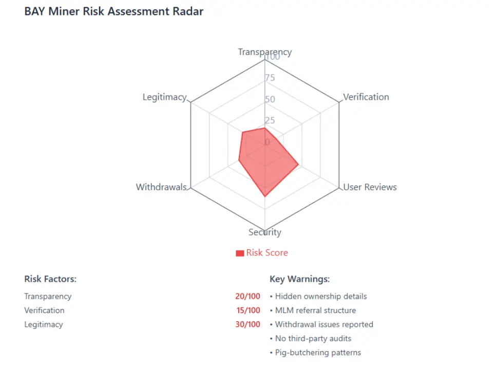 Radar chart displaying BAY Miner risk assessment with low scores in transparency, verification, and legitimacy