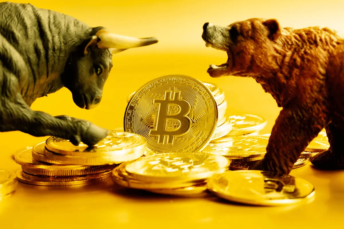 Bitcoin bull and bear facing off over gold coins during a market pullback mid cycle analysis