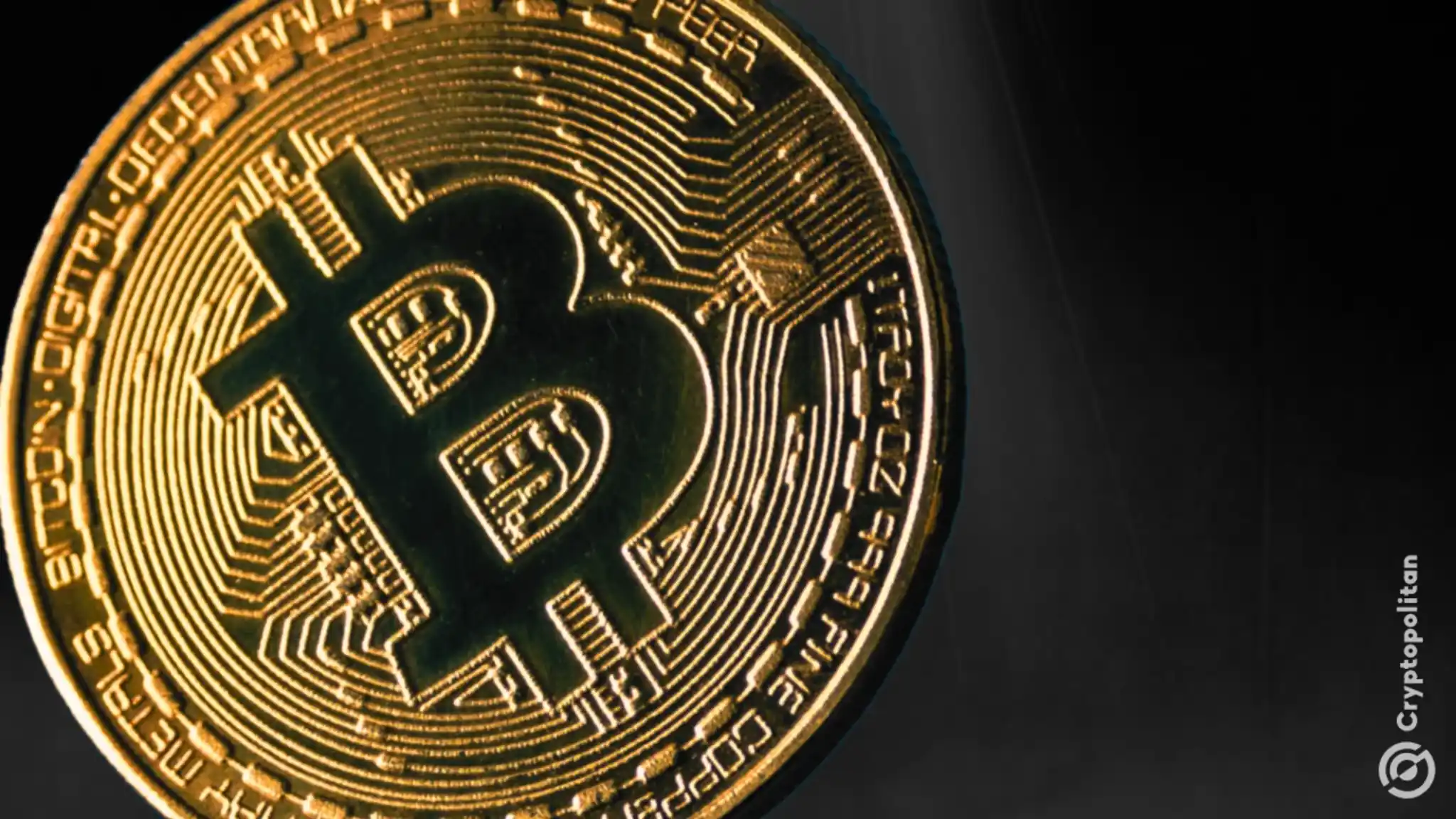 Close up image of Bitcoin symbol highlighting developer concerns over quantum computing threats and the importance of long term cryptographic preparedness.