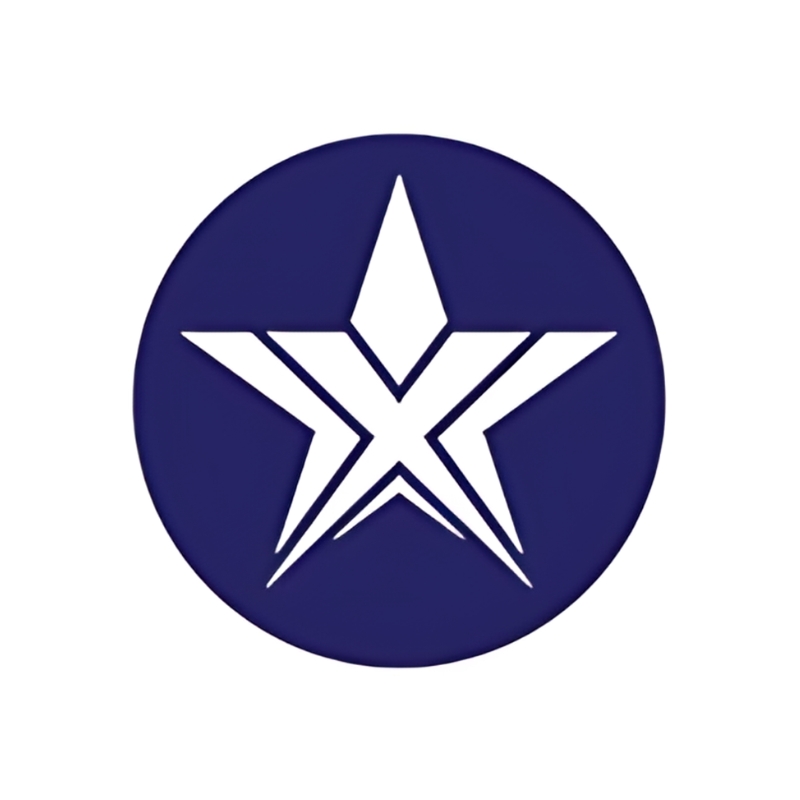 blue star logo icon with white star design inside circular blue background representing modern brand identity
