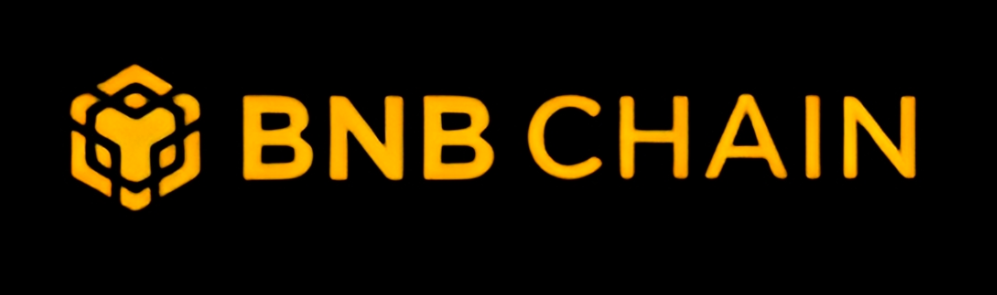 Ayulhealth Review: BNB Chain logo representing the cryptocurrency payment gateway and blockchain transparency for the platform.