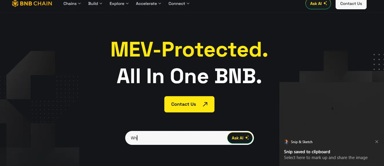Ayulhealth Review: Official BNB Chain interface showing MEV-protected features used for secure blockchain transactions.