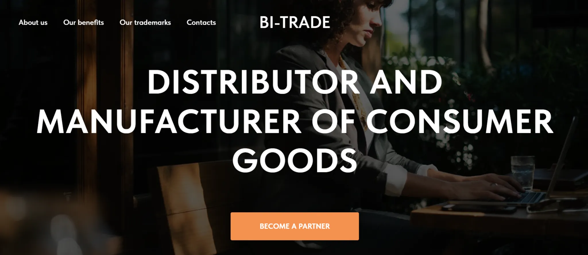 Bi-Trade website showing distributor and manufacturer of consumer goods with business interface