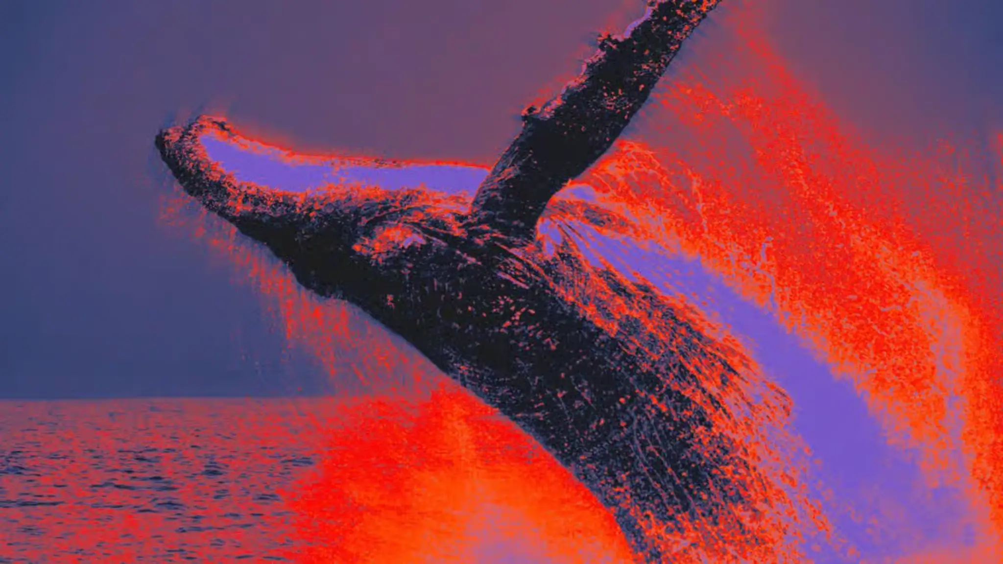 Ethereum ICO whale emerging from ocean symbolizing 10-year dormancy and $23 million ETH movement