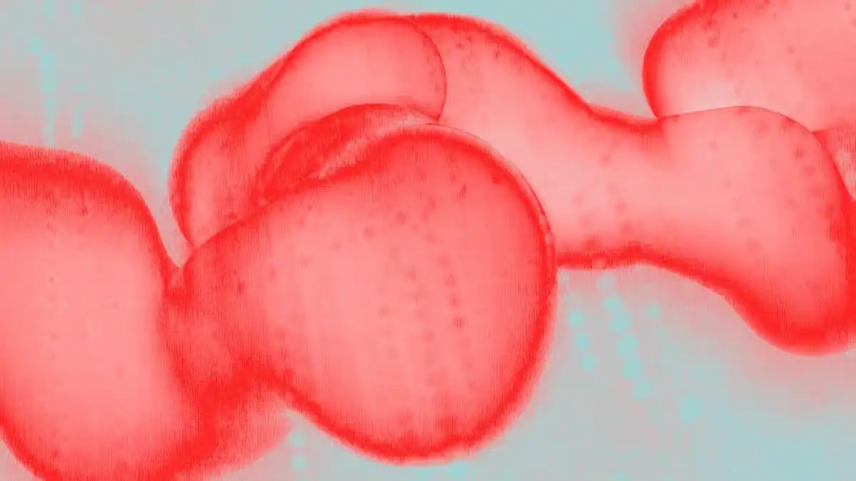 Abstract red visual representing Kelp DAO exploit and rising DeFi security risks in cross-chain protocols