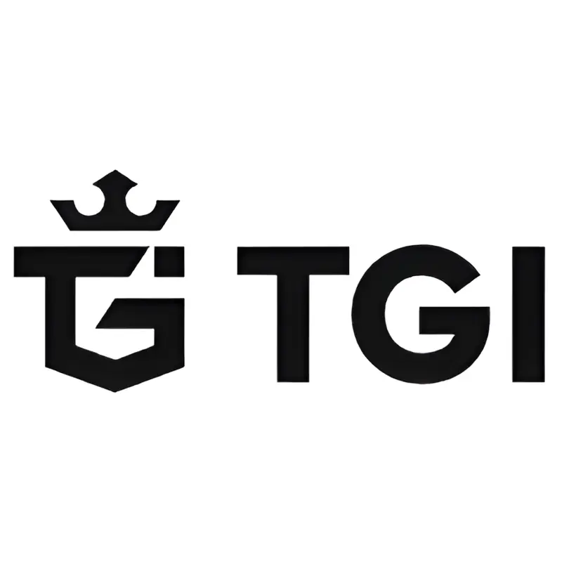 TGI AG black logo with crown symbol representing investment company branding