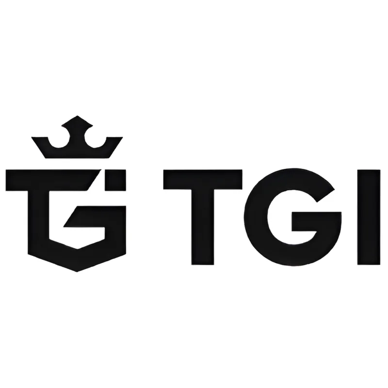 TGI AG Logo - Unlicensed gold MLM investment scheme with warnings across Europe