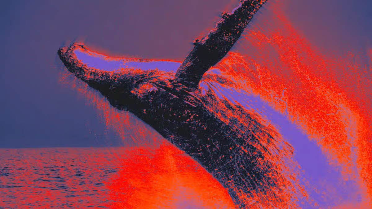 An abstract, high-contrast pop-art style image of a large humpback whale breaching out of the ocean with vibrant orange, neon purple, and dark blue color grading, symbolizing a crypto whale market impact.