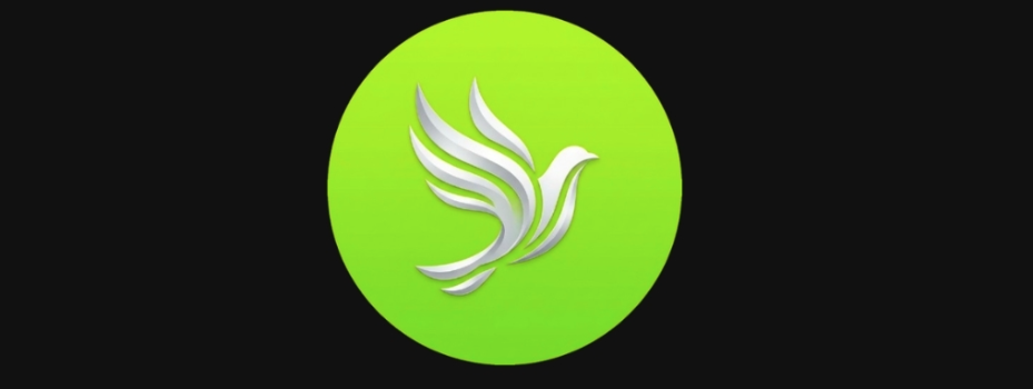 Official logo of Dove Investment featuring a stylized silver dove icon inside a lime green circle against a black background.
