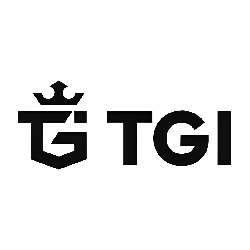 TGI AG company logo following the Liechtenstein raid and FMA cease and desist order investigation