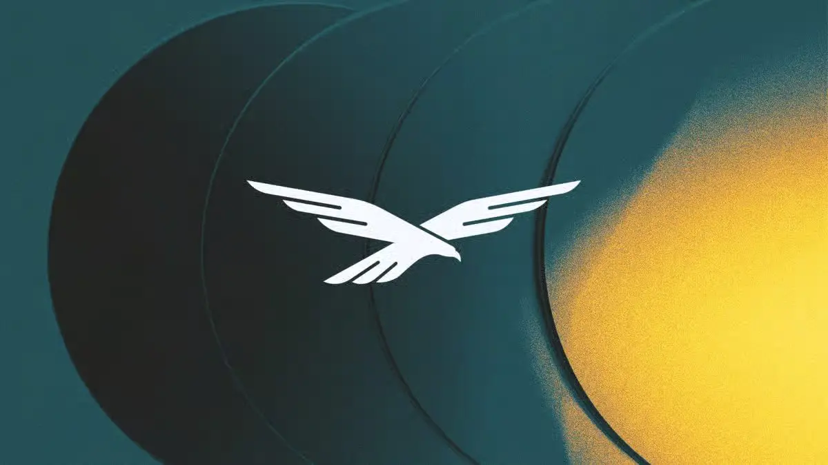 Modern white winged bird logo on a dark teal and yellow abstract background