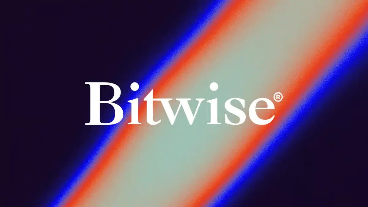 Bitwise Review logo and branding