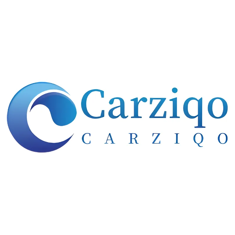 Carziqo blue wave logo with Carziqo brand name